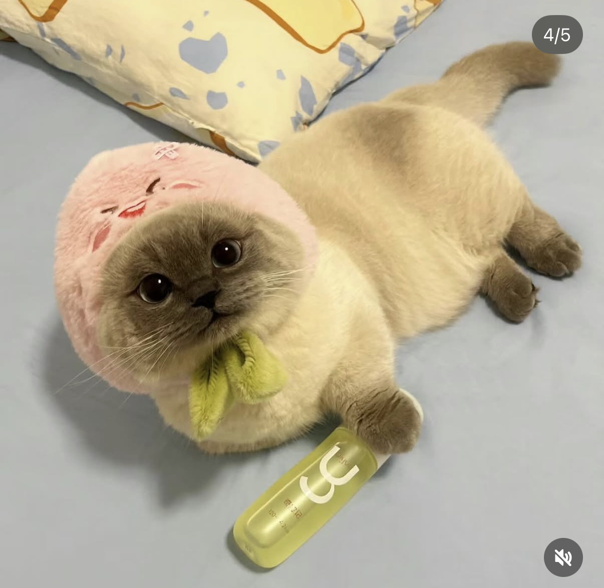 Xiaojie lying down in a pink hat next to a bottle