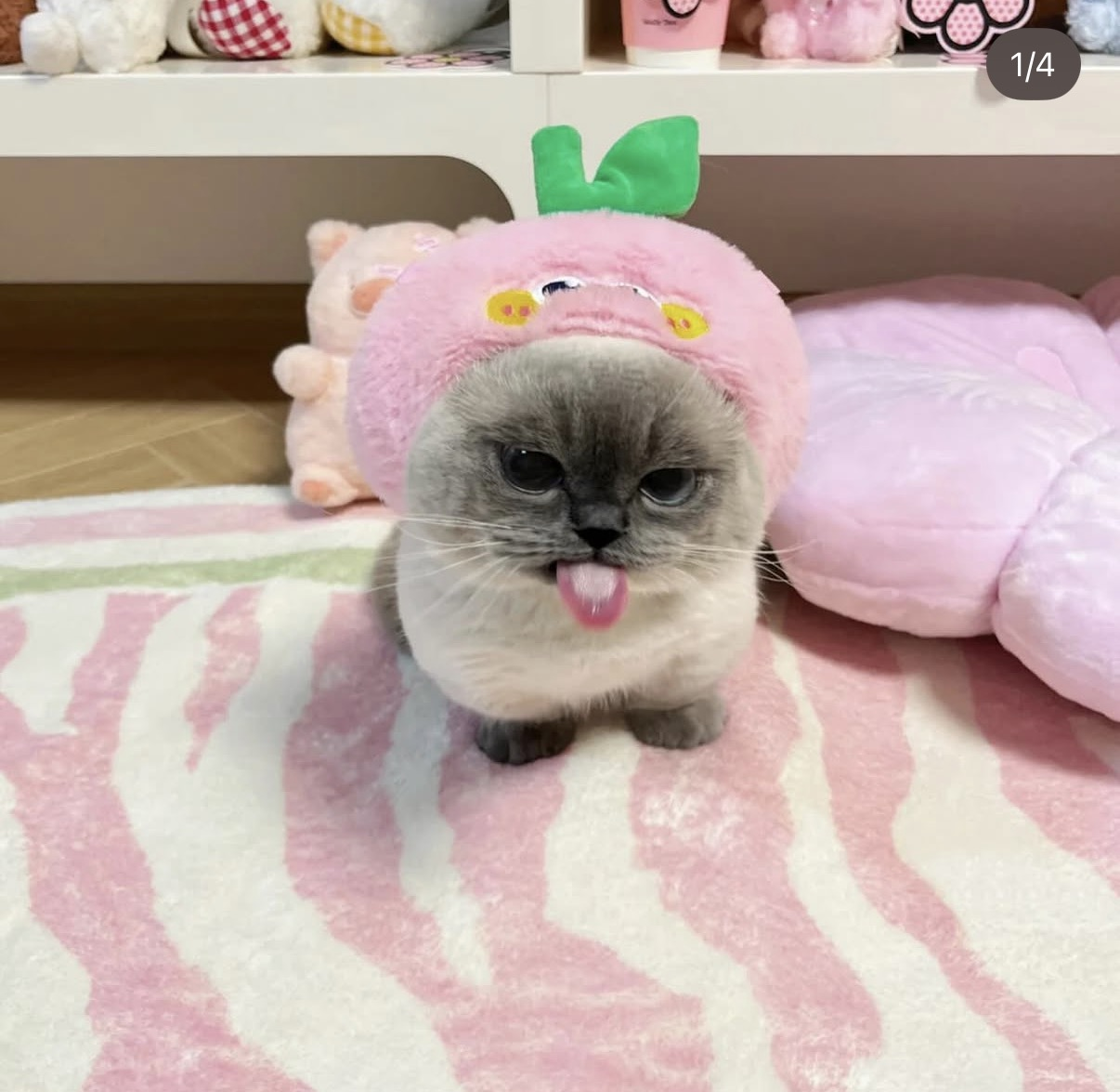 Xiaojie wearing a pink peach fruit hat